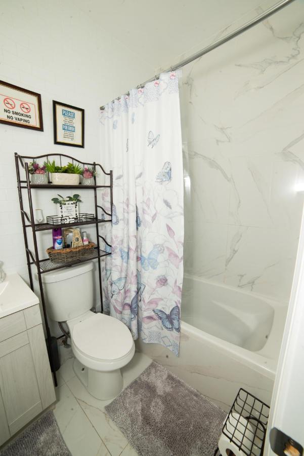 Top Floor With Skylight Brooklyn نيو يورك المظهر الخارجي الصورة